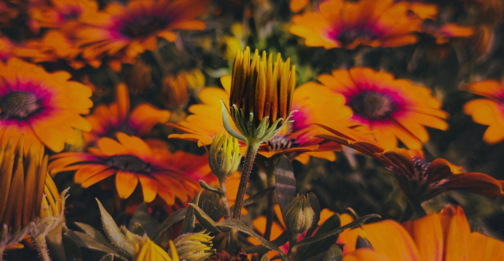 Students collaborating on debugging and optimization tasks during practical learning sessions